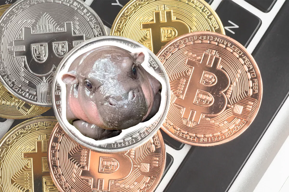 El fenómeno Moo Deng: hipopótamo bebé criptomoneda de $100 millones